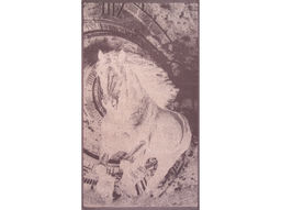 Полотенце махровое 6с103.412ж1 Бег времени(т.с.мальв1) 50х90см