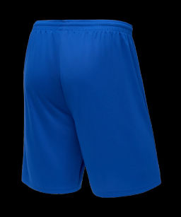 Шорты баскетбольные JOGEL CAMP Basic, синий фото 5