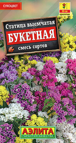 Статица Букетная, смесь сортов