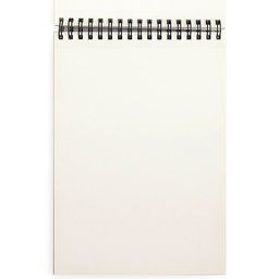 Canson Альбом для графики XL Croquis 90 г/м2 A3 27.9 х 42 см на спирали 120 л. C200787115