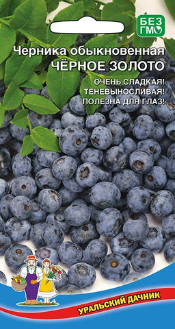 Черника ЧЁРНОЕ ЗОЛОТО Очень сладкая! Теневыносливая! Полезна для глаз!
