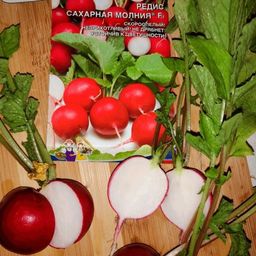 Редис САХАРНАЯ МОЛНИЯ F1 - Уральский дачник фото 3