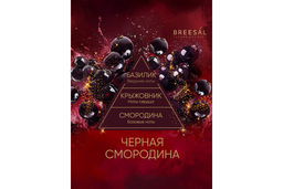 Breesal Ароматический диффузор Passion Черная смородина фото 3