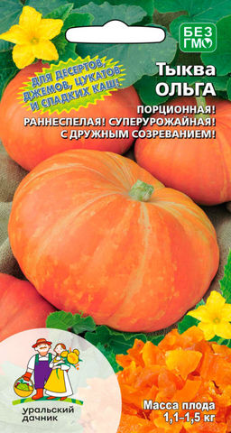 Тыква ОЛЬГА  Для десертов, джемов, цукатов и сладких каш! Порционная! Дружное созревание!