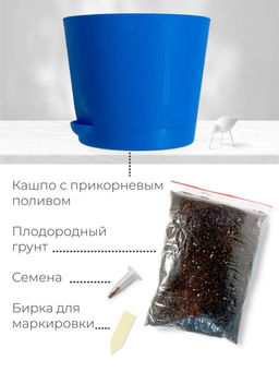 Набор д/выращивания растений "Магия цветов", "Ель голубая"