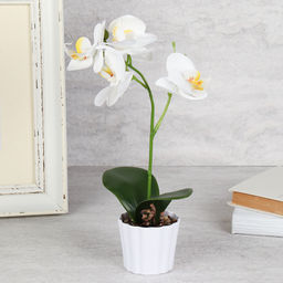 Цветочная композиция Орхидея 30 см / LM-790 /уп 96/ - Галеонтрейд фото 4