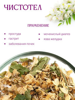 Цветки акации - Травы горного крыма фото 7