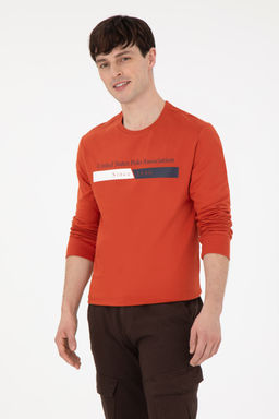 Мужской свитшот с плиткой Неожиданная скидка в корзине - U.s. polo assn фото 15