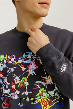 Свитшот Anta Skate Culture  фото 3