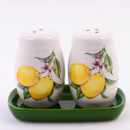 60173 Набор для специй 3пр Лимонный праздник доломит LR (х72)