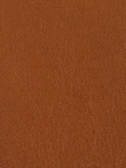 Сумка ELEGANZZA ZYU2412-21 camel