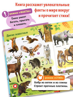 Говорящая книга "Мир вокруг меня"