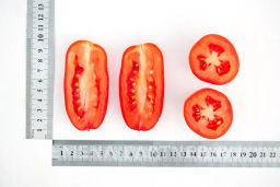 Томат Агафья - Партнер фото 4