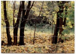 Открытка Музей усадьбы Лесковых Панин хутор