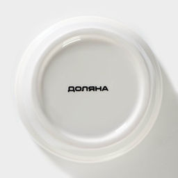 Банка для хранения сыпучих продуктов Доляна «Кактус», 170 мл, 8×8×12 см, керамическая