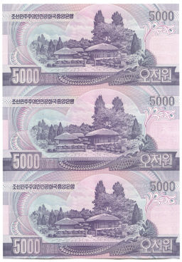 5000 вон 2006 года Северная Корея  Лист из трех банкнот