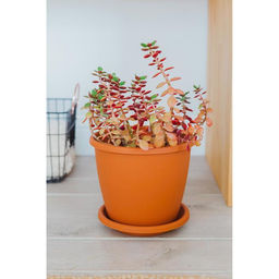 Горшок для цветов с поддоном «Альтернатива. Афина», 5.5 л, пластиковый, коричневый