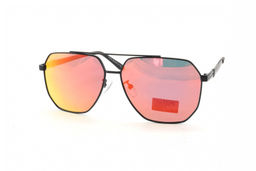 PILLAR POLARIZED 6010 С6 58-16-140