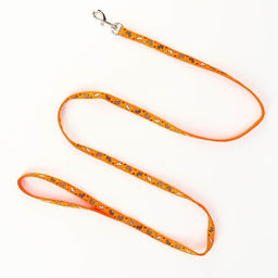 Комплект Собачки, поводок 120 х 1 см, ОГ 23-35 см, оранжевый - Пижон фото 6