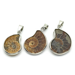 Подвеска аммонит 28*33мм