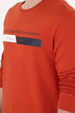 Мужской свитшот с плиткой Неожиданная скидка в корзине - U.s. polo assn фото 7