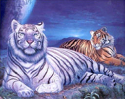 Алмазная мозаика на подрамнике 40x50 / YSG2650 /уп 30/