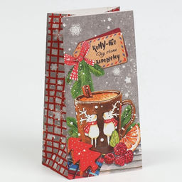 Цена за 10 шт. Пакет подарочный без ручек новогодний «Кому‒то ну очень хорошему», 10×19.5×7 см