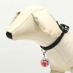 Адресник под гравировку Блестящая лапка с карабином, 2,2 см, красный - Пижон фото 4