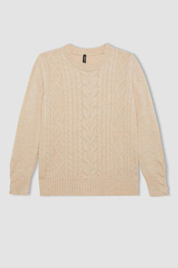 Женский плетеный трикотажный свитер обычного кроя с круглым вырезом и волосами