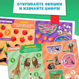 Цена за 4 шт. Книжка картонная с окошками «Цифры», 10 стр.