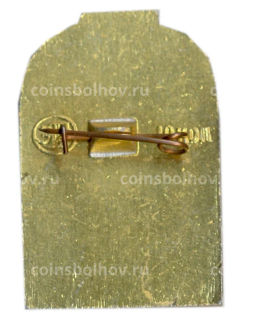 Значок Москва-Крутицкий теремок