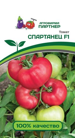 Томат Спартанец