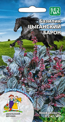 Базилик ЦЫГАНСКИЙ БАРОН