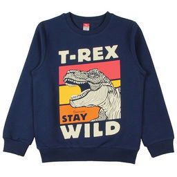 CRB wear/CWJ 62572 Джемпер для мальчика, темно-синий/Ex.Cherubino