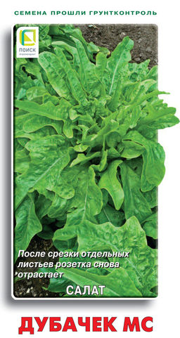 Салат Дубачек МС (ЦВ) 1гр. - Поиск фото 2