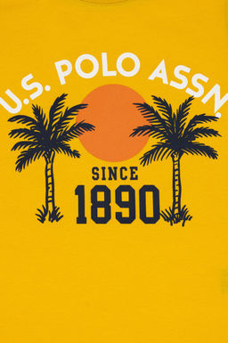 Erkek _ocuk Sar_ Ti__rt Sepette S_rpriz _ndirim - U.s. polo assn фото 3