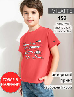 Футболка для мальчика с авторским принтом