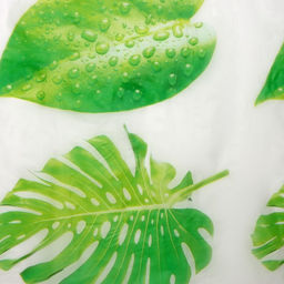 Штора для ванной Доляна «Сафари», 180×180 см, EVA