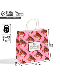 Цена за 2 шт. Пакет подарочный, упаковка, Киса, 22?22?11 см