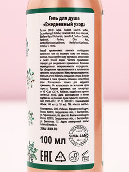 Новогодний подарочный набор косметики «С праздником», гель для душа 100 мл и крем для рук 30 мл, Чистое счастье