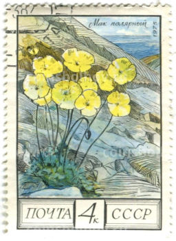 Марка Мак Полярный 1975 год