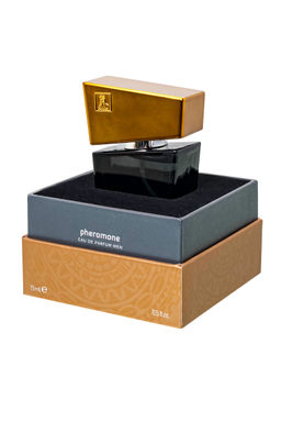 Духи с феромонами HOT Shiatsu Gray,мужские,15 мл  фото 7