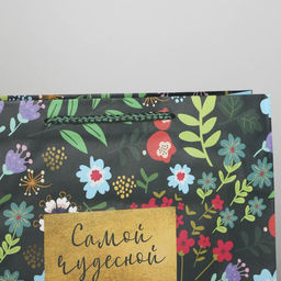 Цена за 2 шт. Пакет подарочный ламинированный, упаковка, Present for you, ML 25?21?8 см