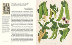 Выдающиеся растения, которые изменили нашу жизнь. Байнум Х., Байнум У.