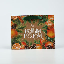 Цена за 2 шт. Пакет подарочный новогодний крафтовый «С Новым годом», MS 18×23×10 см