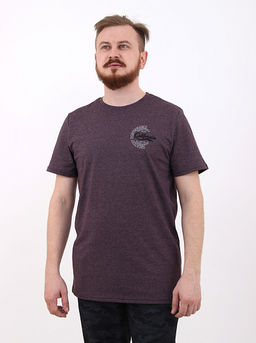 Футболка мужская М1-379 P - Глория Трикотаж фото 42