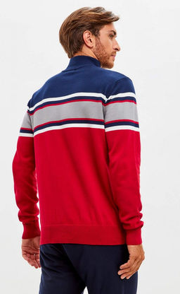 Джемпер мужской в полоску с воротом на молнии F221-15-22022 сине-красный - Fine joyce фото 7