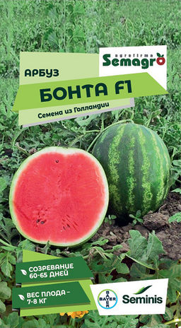 8041N Арбуз Бонта F1 5шт