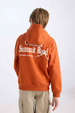 Толстовка обычного кроя с капюшоном и принтом на спине для мальчиков с вышивкой