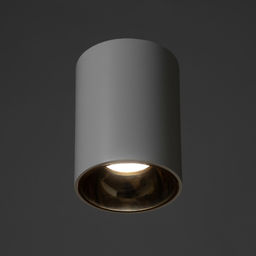 Светильник «Роллфи»LED 4000К 10 Вт DIM220 IP54 белый золото 7.5×7.5×10 см